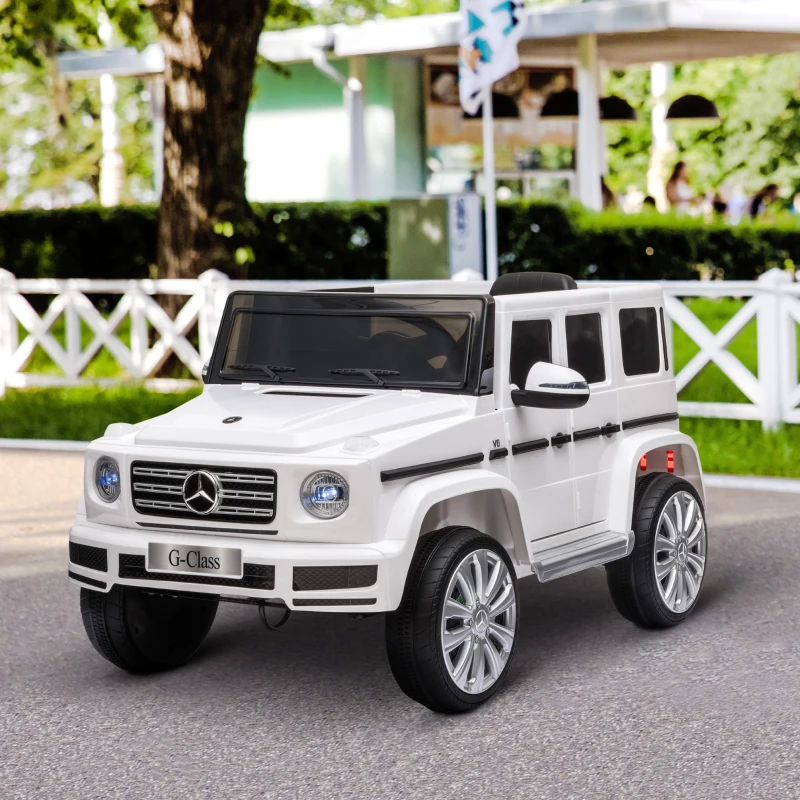 Mercedes-Benz G500 - Image 13