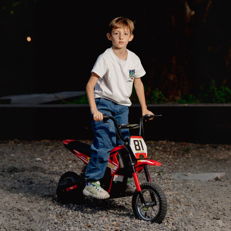 AIYAPLAY Motocross 81 ministand.pt motas e carros elétricos para crianças