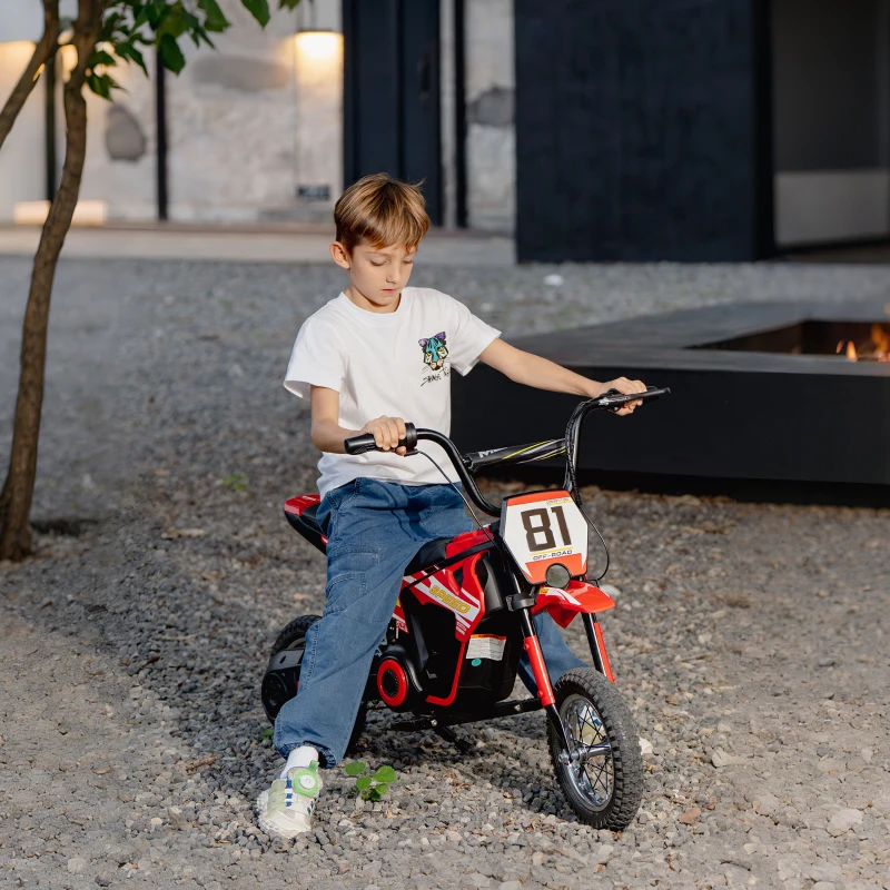 AIYAPLAY Motocross 81 ministand.pt motas e carros elétricos para crianças